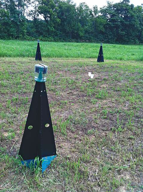 brown marmorated stink bug pyramid trap - Entomology Today