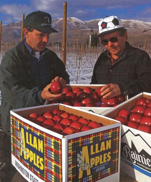 Washington's organic apple acreage grew 37 percent - Good Fruit Grower