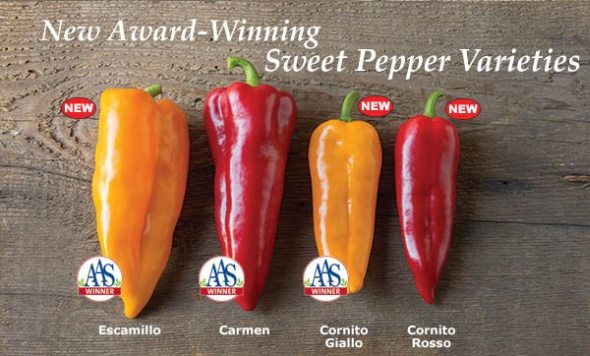 Types of Sweet Peppers
