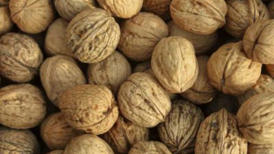 Crunching Numbers on the Latest Walnut Crop Forecast