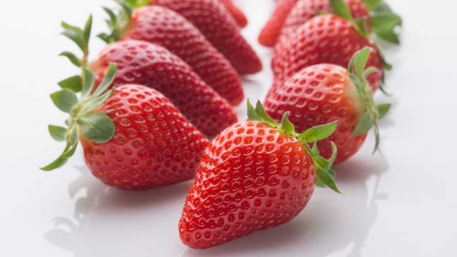 Florida Strawberry Growers Have A Sweet Sensation On Their Hands Growing Produce