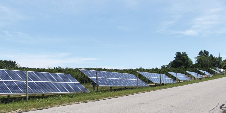 Bright Idea: How Apples and Solar Panels Can Grow Together