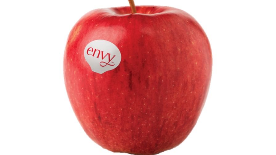 Envy™ Apples Information and Facts