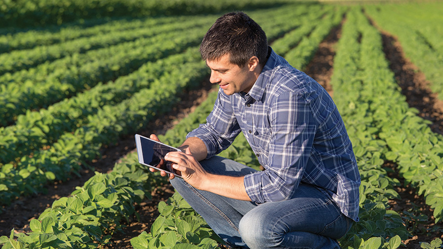 Who Started The Leggings Trend  International Society of Precision  Agriculture