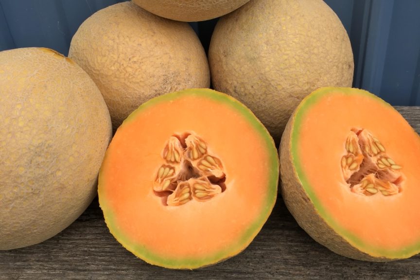 7 Specialty Melons and Why You Need to Try Them All