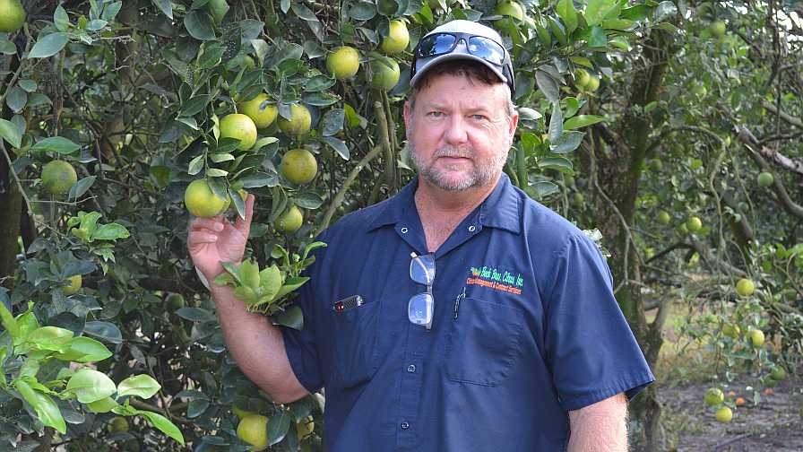 Why Beck Bros. Believe in the Future of Florida Citrus - Specialty Crop  Grower