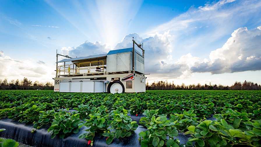 Cotton harvester, Harvesting, Automation, Efficiency