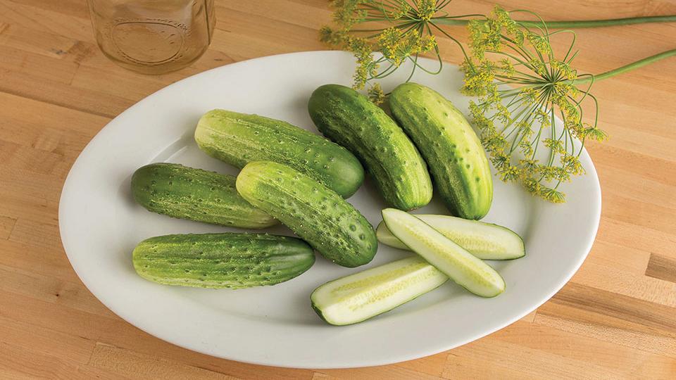 The Latest Cucumber Varieties You Need To Know Growing Produce 6160