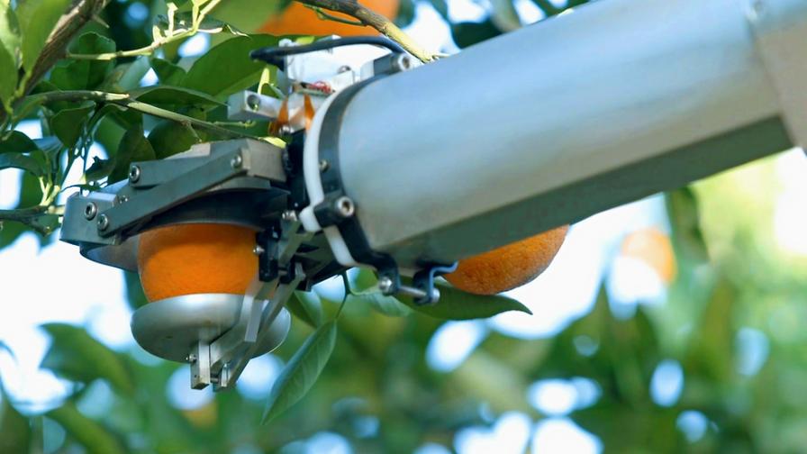 New Fruit Harvesting Robot Powered by AI Comes To Life