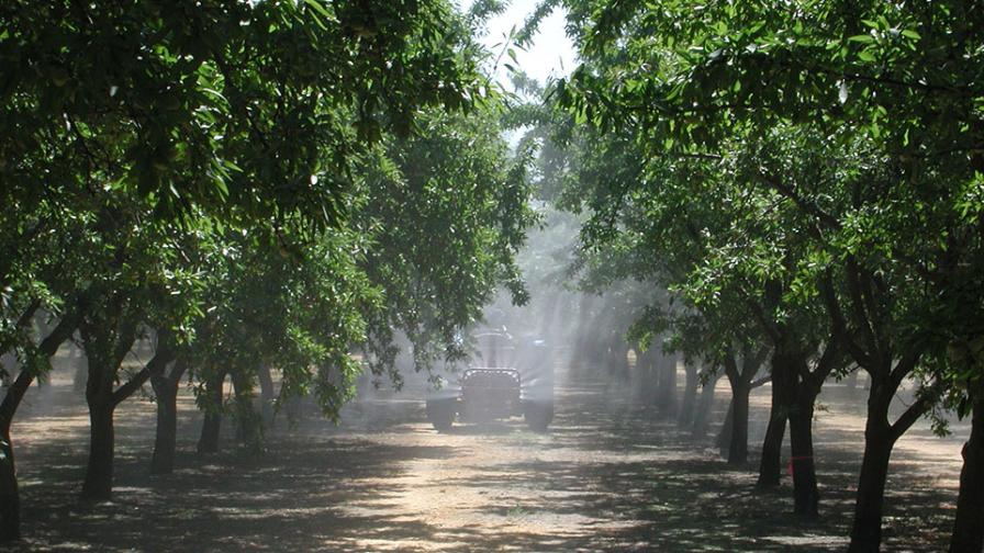 New Fungicide Provides Almond, Pome Fruit Growers Resistance Management