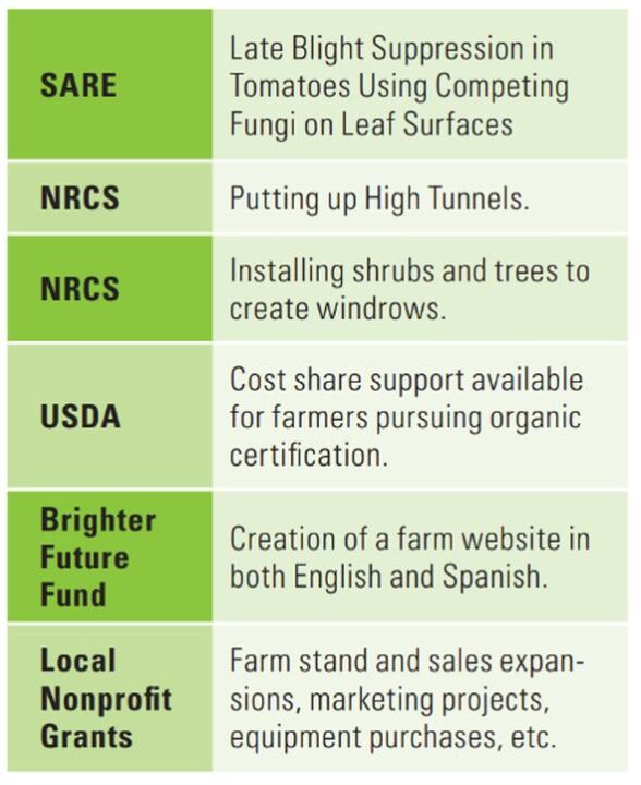 Need Capital for Your Farm? Consider Grants Growing Produce