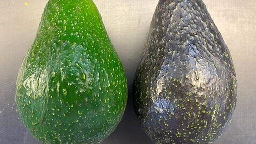 Avocados, Best Product Period