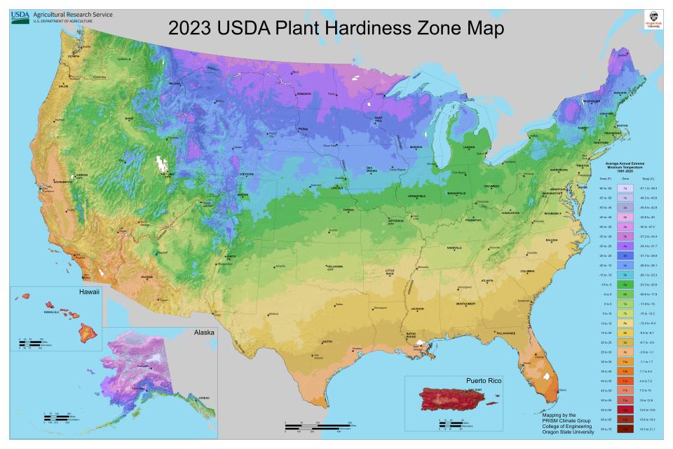 Refreshed! USDA Unveils Its New Plant Hardiness Zone Map Growing Produce