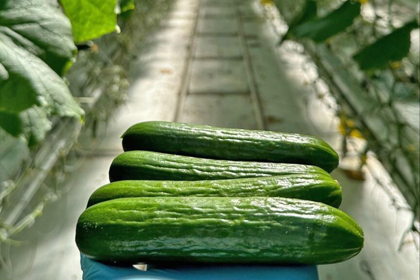 2. Cucumbers