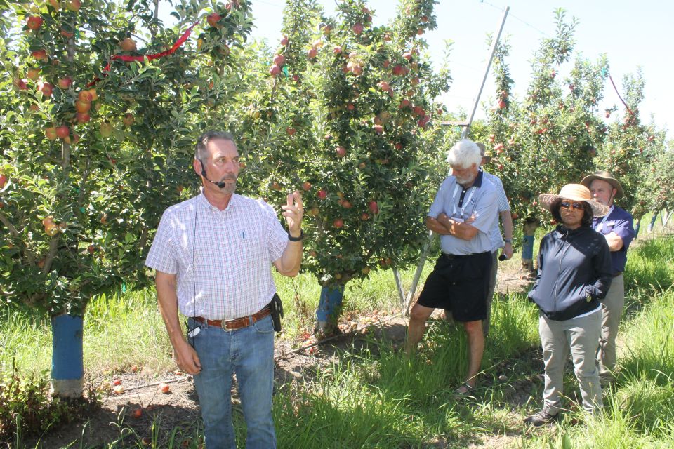 New Momentum To Modernize Stone Fruit Orchards