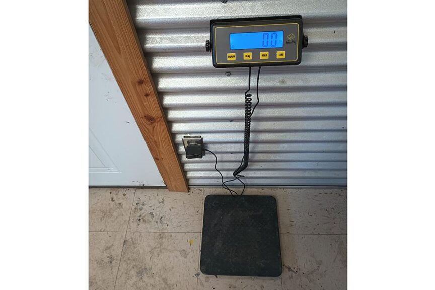 Digital Receiving Scale (Shaledig)