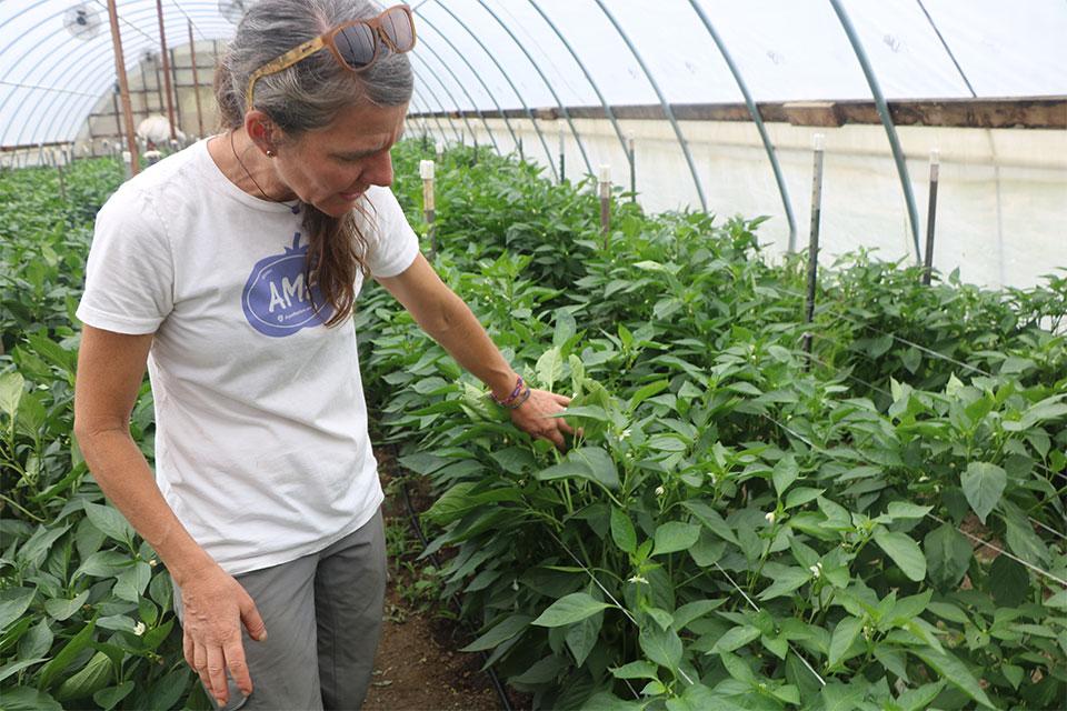 Important Message for Farmers: Never Forget Who You Are Growing For