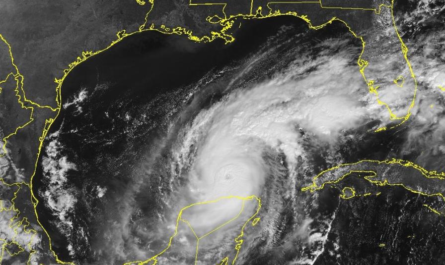 Rinse and Repeat! Florida Growers Ready for More Hurricane Impacts