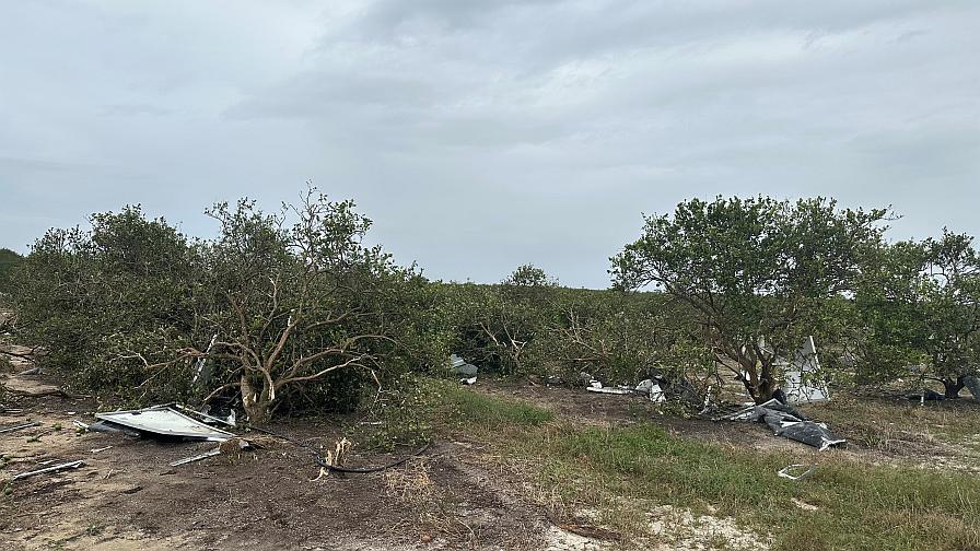 Double Whammy! How Farmers Are Coping After Big Hurricane Hits