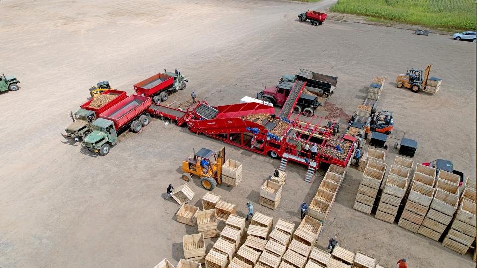 Caretaker mobile vegetable grader (Tong Engineering)